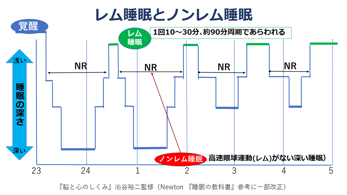 レム睡眠とノンレム睡眠