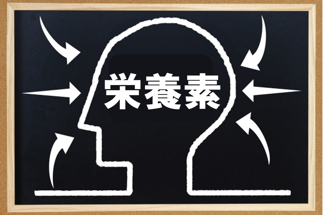 栄養素が大きなカギを握っている