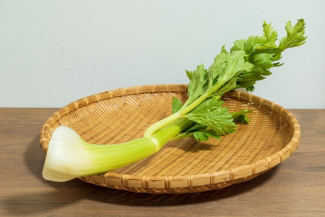 夏バテ対策 食べ物ー古くから薬用に利用されてきたセロリ