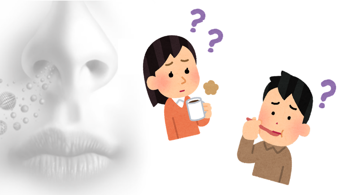 味を感じるのは、嗅覚に依存