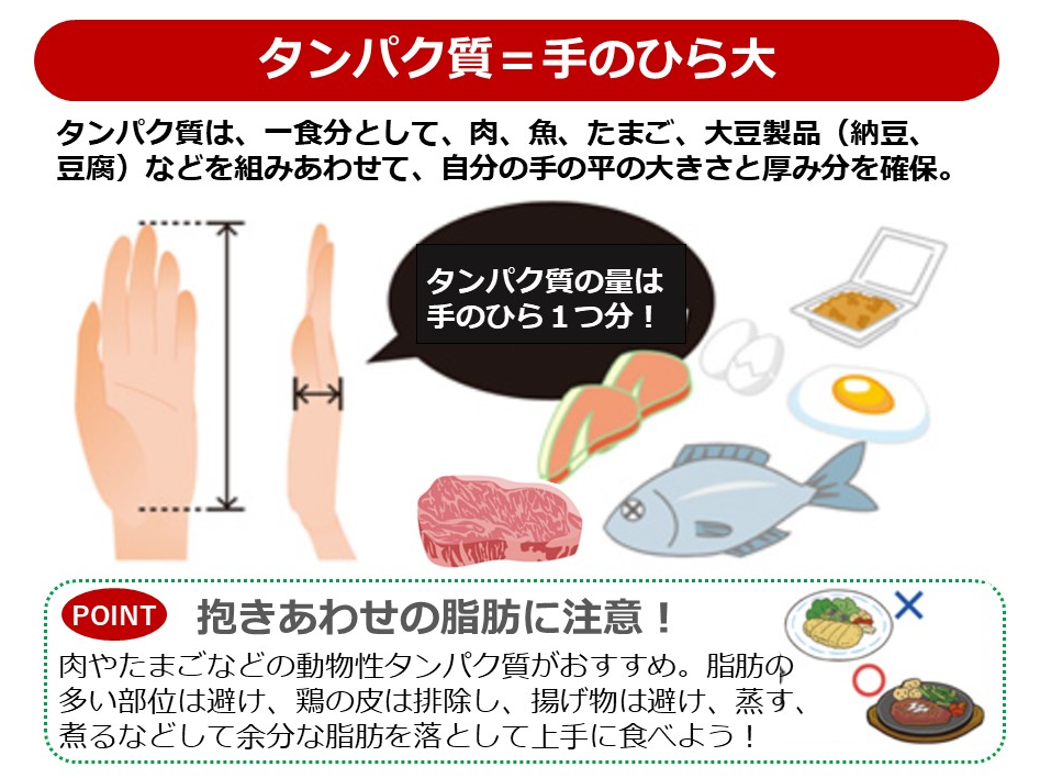 タンパク質の適切な摂取量は？