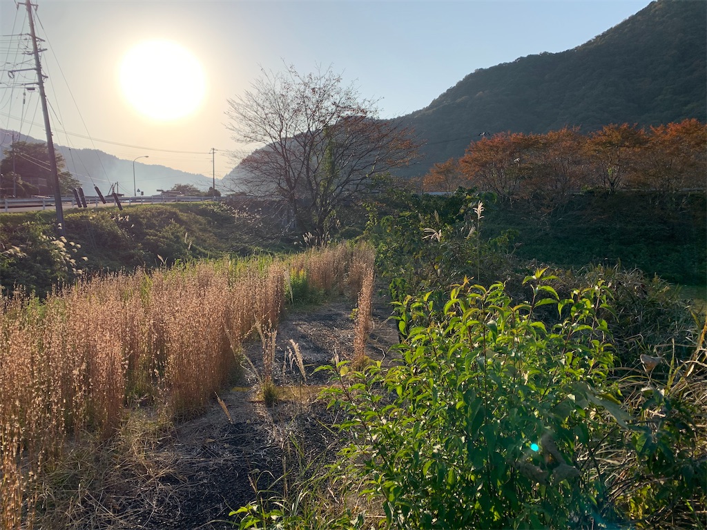 f:id:JIJO2:20260313215909j:image
