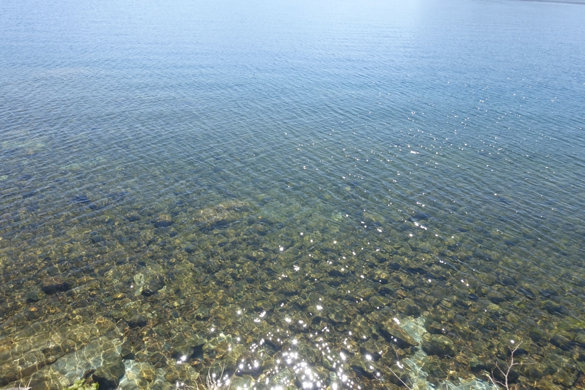 f:id:JIN_HOKABE:20190512235301j:plain f:id:JIN_HOKABE:20190512235301j:plain