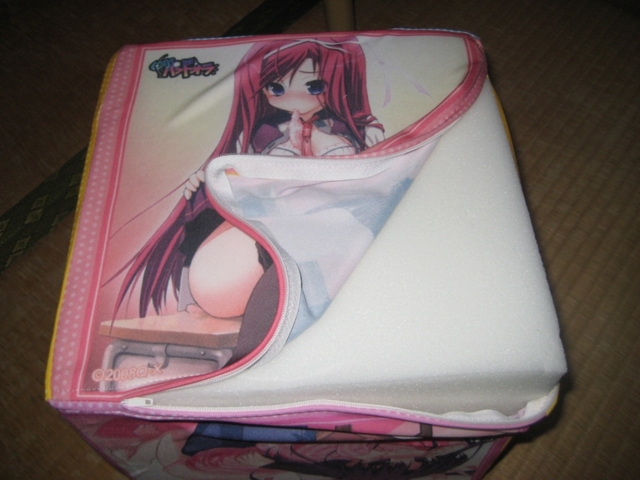 f:id:JITSU:20110318203753j:image