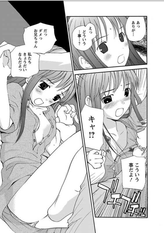 f:id:JITSU:20170531061750j:image f:id:JITSU:20170531061750j:image