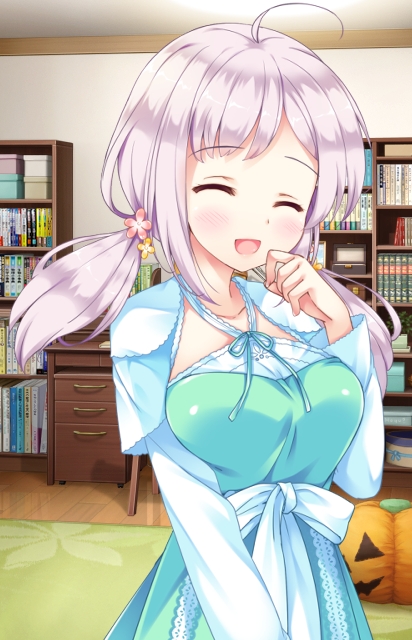 f:id:JITSU:20190222225500j:image