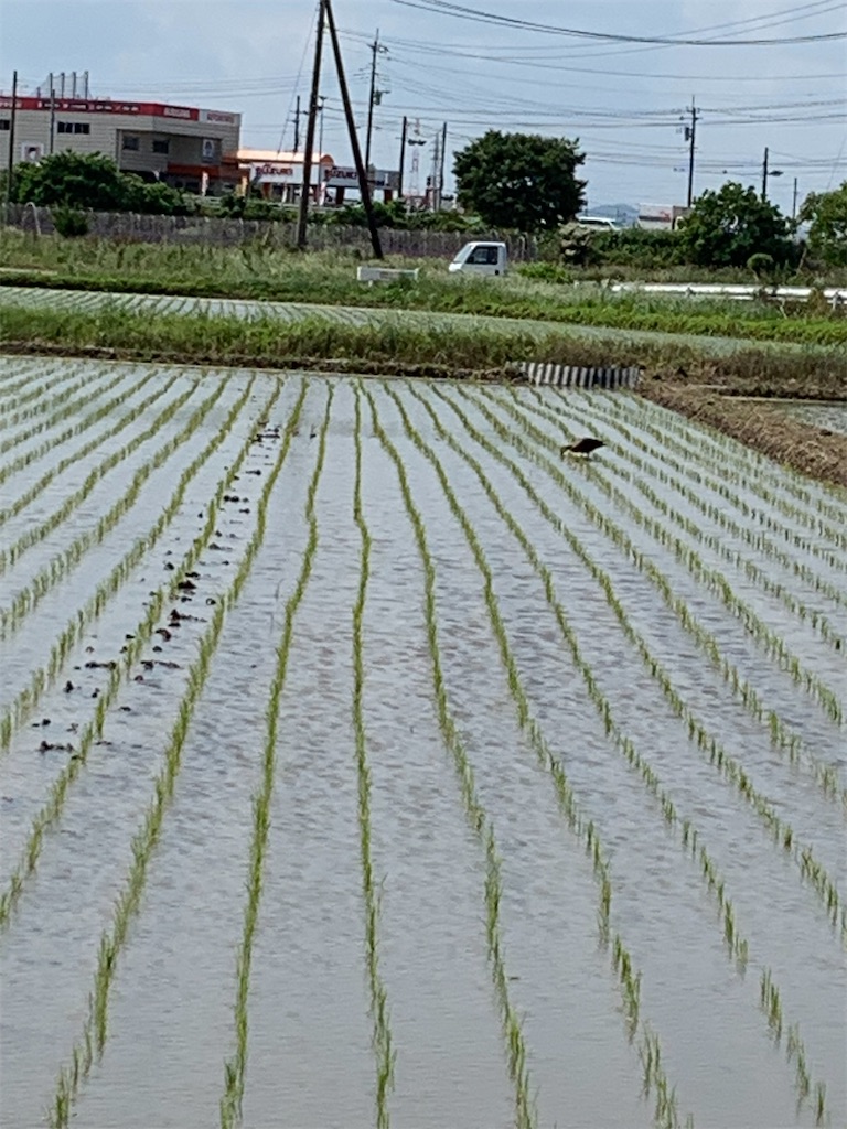f:id:JJ1KBL:20230612081151j:image