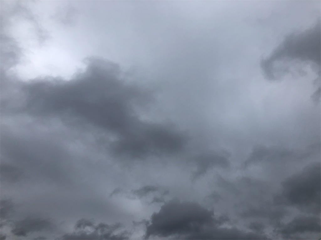 お散歩で見つけた綺麗なお花 雨に濡れて光ってます J S Diary
