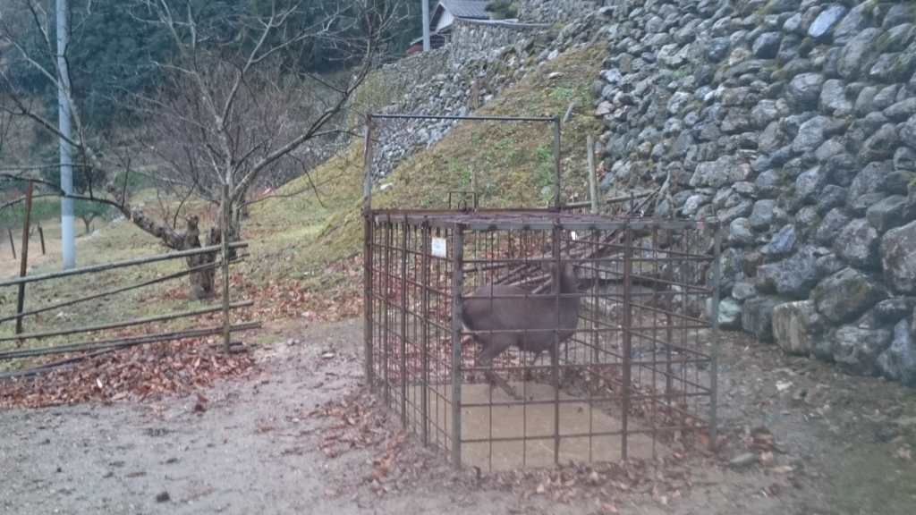 f:id:JK17:20171220192728j:plain f:id:JK17:20171220192728j:plain