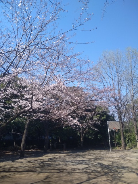 f:id:JK18:20200324171647j:plain f:id:JK18:20200324171647j:plain