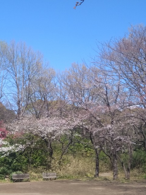 f:id:JK18:20200324171709j:plain f:id:JK18:20200324171709j:plain
