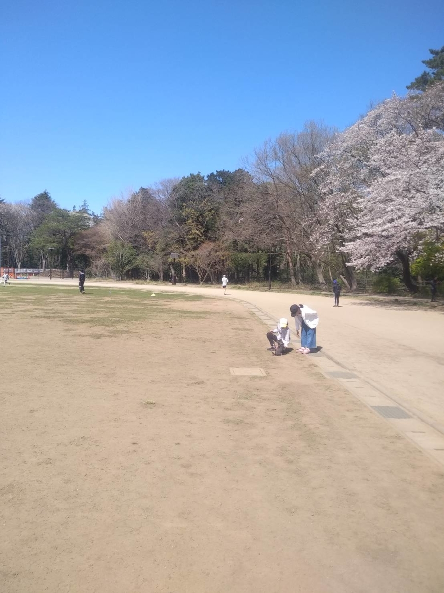 f:id:JK18:20200326082609j:plain f:id:JK18:20200326082609j:plain