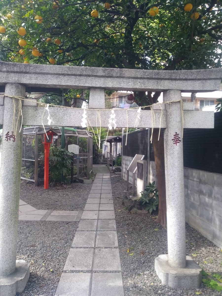 f:id:JK18:20200329141044j:plain f:id:JK18:20200329141044j:plain