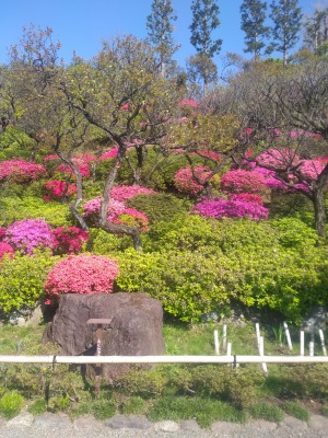f:id:JK18:20200411132027j:plain f:id:JK18:20200411132027j:plain