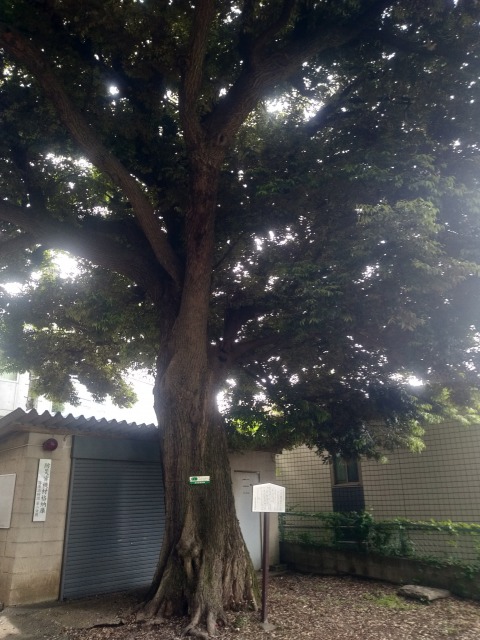 f:id:JK18:20200612164736j:plain f:id:JK18:20200612164736j:plain