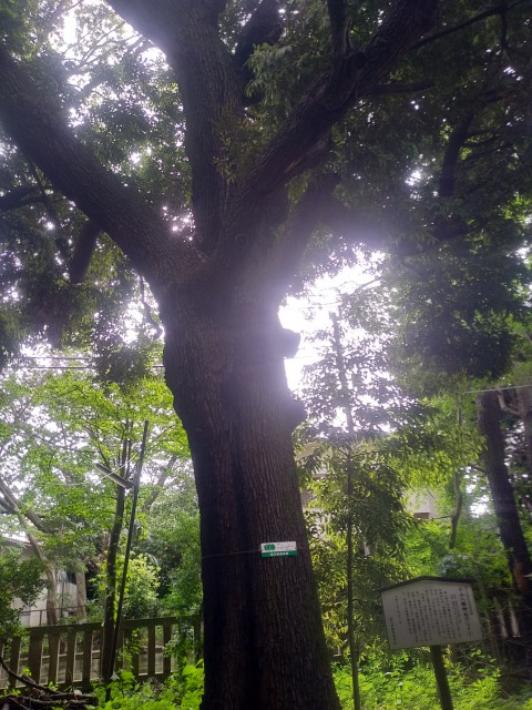 f:id:JK18:20200612165728j:plain f:id:JK18:20200612165728j:plain