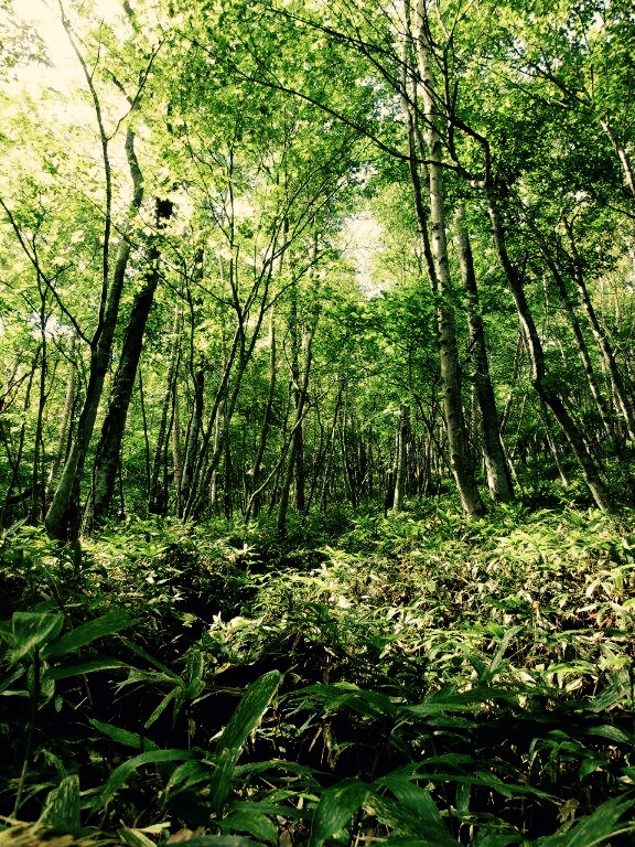 f:id:JKazy:20150927141030j:plain f:id:JKazy:20150927141030j:plain