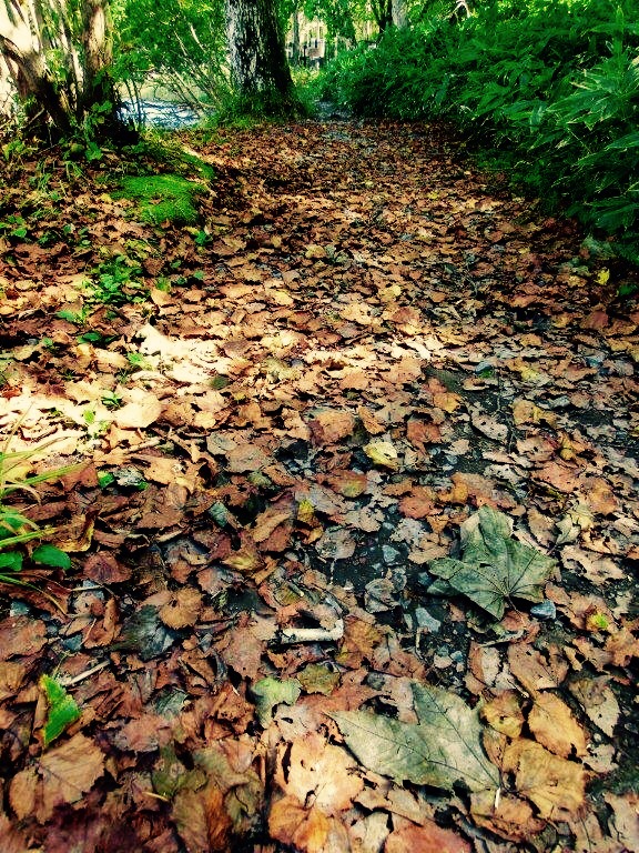 f:id:JKazy:20150927141034j:plain f:id:JKazy:20150927141034j:plain