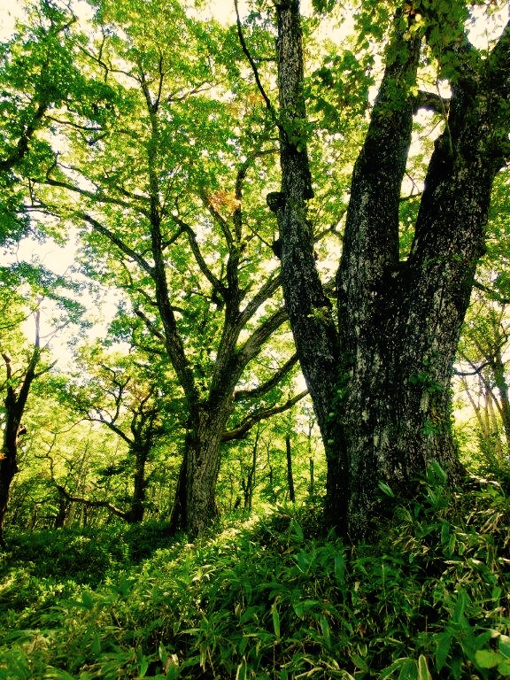 f:id:JKazy:20150927141040j:plain f:id:JKazy:20150927141040j:plain