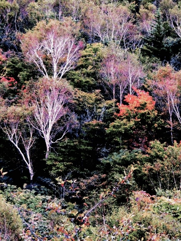 f:id:JKazy:20150927141106j:plain f:id:JKazy:20150927141106j:plain