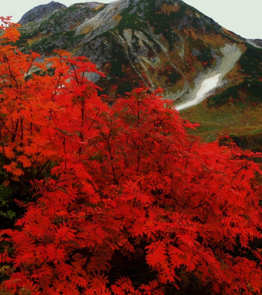 f:id:JKazy:20150927160143j:plain f:id:JKazy:20150927160143j:plain