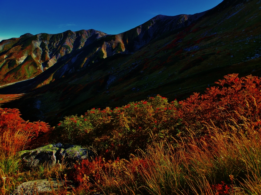 f:id:JKazy:20150927164648j:plain f:id:JKazy:20150927164648j:plain