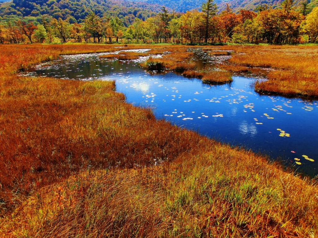 f:id:JKazy:20151008180613j:plain f:id:JKazy:20151008180613j:plain