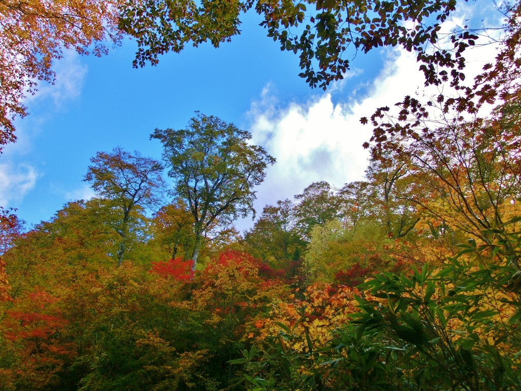 f:id:JKazy:20151008225440j:plain f:id:JKazy:20151008225440j:plain