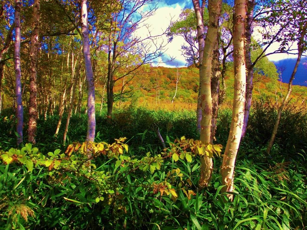 f:id:JKazy:20151008230116j:plain f:id:JKazy:20151008230116j:plain