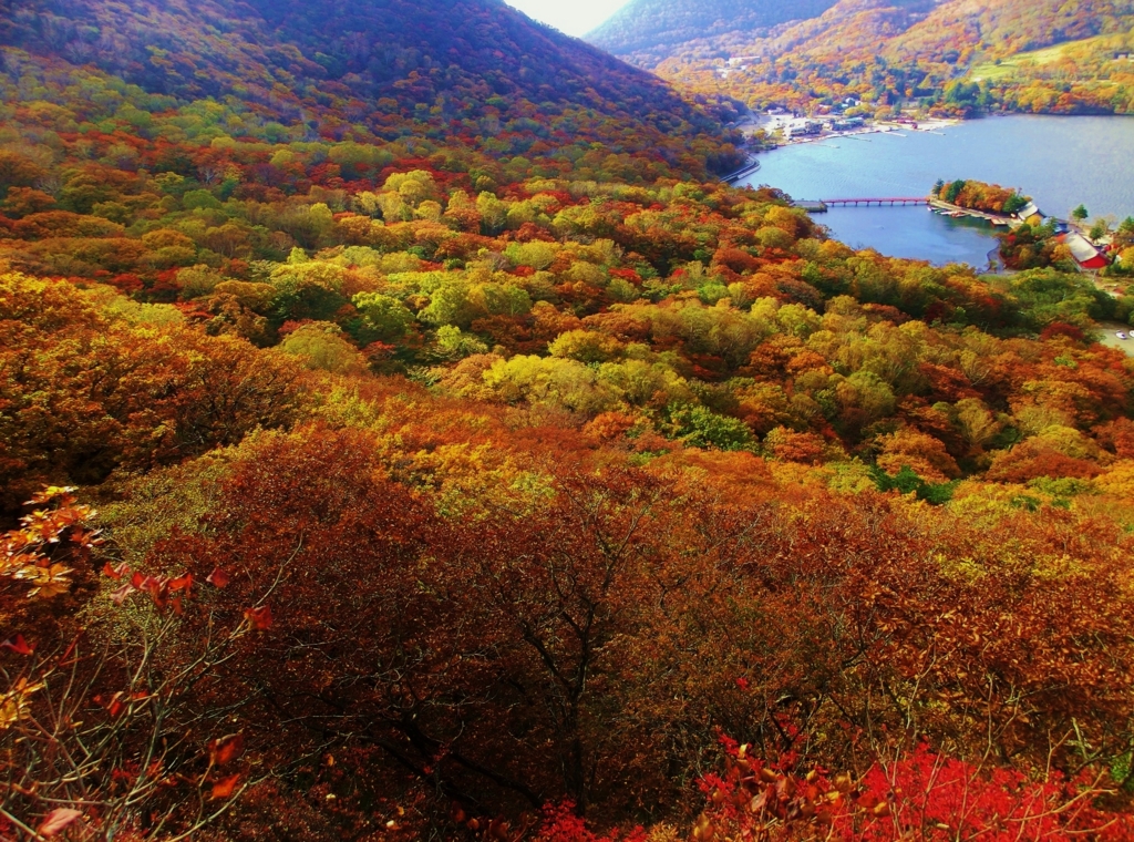 f:id:JKazy:20151015005202j:plain f:id:JKazy:20151015005202j:plain