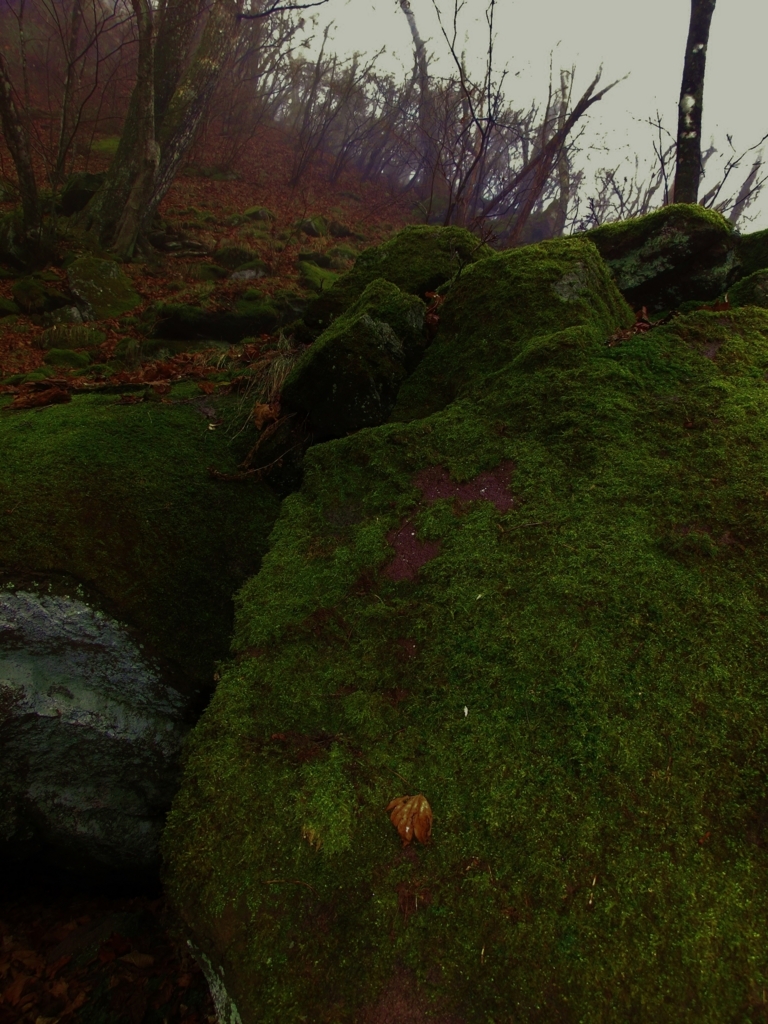 f:id:JKazy:20151122214130j:plain