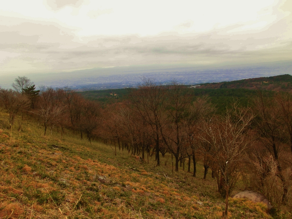 f:id:JKazy:20151203184101j:plain f:id:JKazy:20151203184101j:plain
