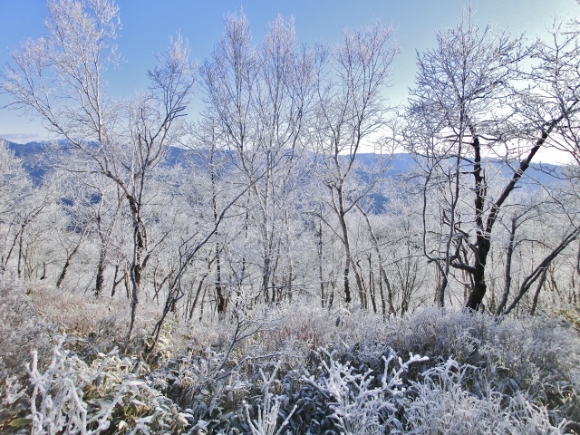 f:id:JKazy:20160114005922j:plain f:id:JKazy:20160114005922j:plain