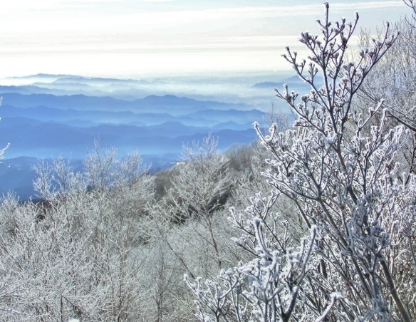 f:id:JKazy:20160114010123j:plain f:id:JKazy:20160114010123j:plain