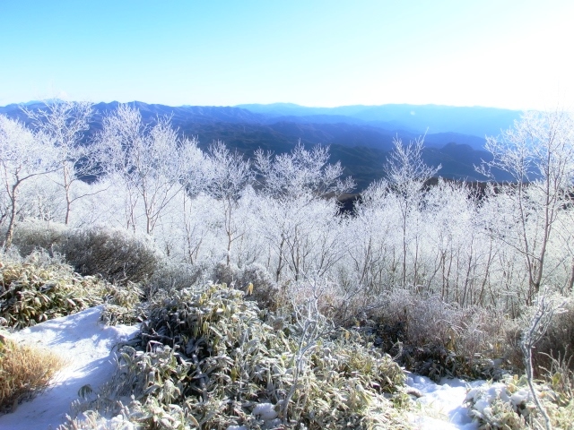 f:id:JKazy:20160114010716j:plain f:id:JKazy:20160114010716j:plain