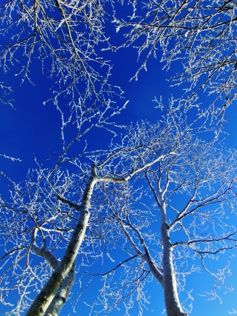 f:id:JKazy:20160114010740j:plain f:id:JKazy:20160114010740j:plain