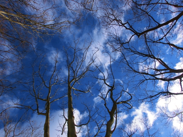 f:id:JKazy:20160126000121j:plain f:id:JKazy:20160126000121j:plain