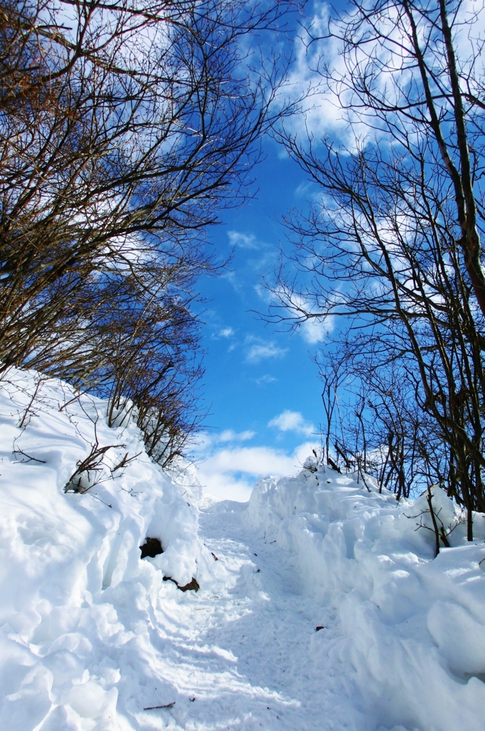 f:id:JKazy:20160126005704j:plain f:id:JKazy:20160126005704j:plain