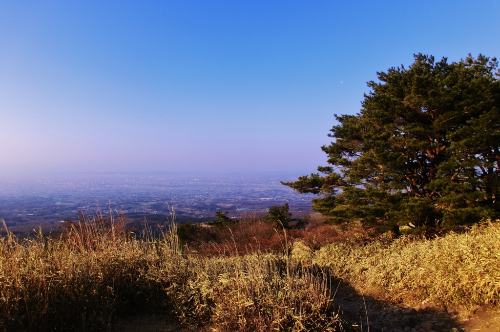 f:id:JKazy:20160229000724j:plain f:id:JKazy:20160229000724j:plain