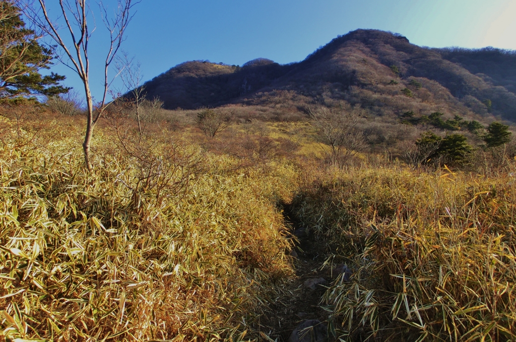 f:id:JKazy:20160229001431j:plain f:id:JKazy:20160229001431j:plain