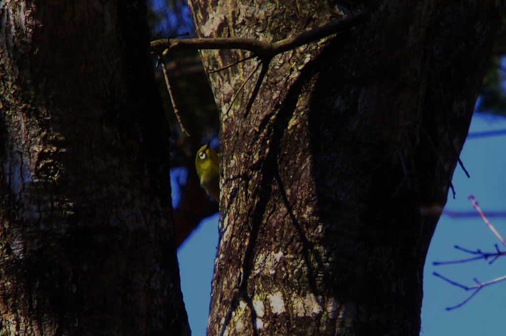 f:id:JKazy:20160229011938j:plain f:id:JKazy:20160229011938j:plain