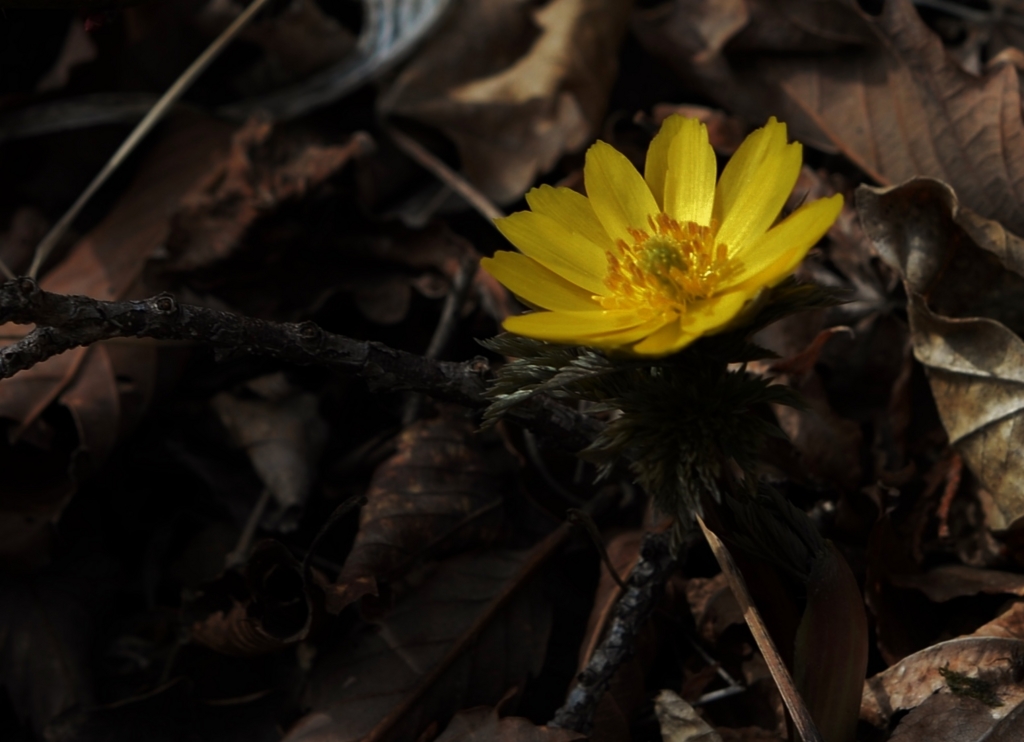 f:id:JKazy:20160320221304j:plain f:id:JKazy:20160320221304j:plain