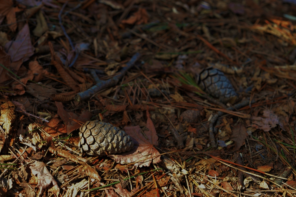 f:id:JKazy:20160320223039j:plain f:id:JKazy:20160320223039j:plain