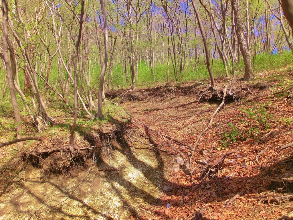 f:id:JKazy:20160420081005j:plain f:id:JKazy:20160420081005j:plain