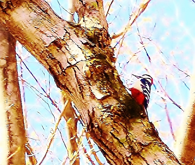 f:id:JKazy:20160420083811j:plain f:id:JKazy:20160420083811j:plain