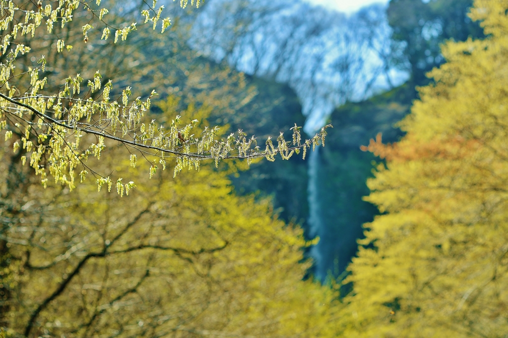 f:id:JKazy:20160420090025j:plain f:id:JKazy:20160420090025j:plain