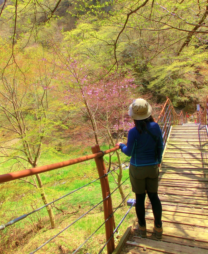 f:id:JKazy:20160420090941j:plain f:id:JKazy:20160420090941j:plain