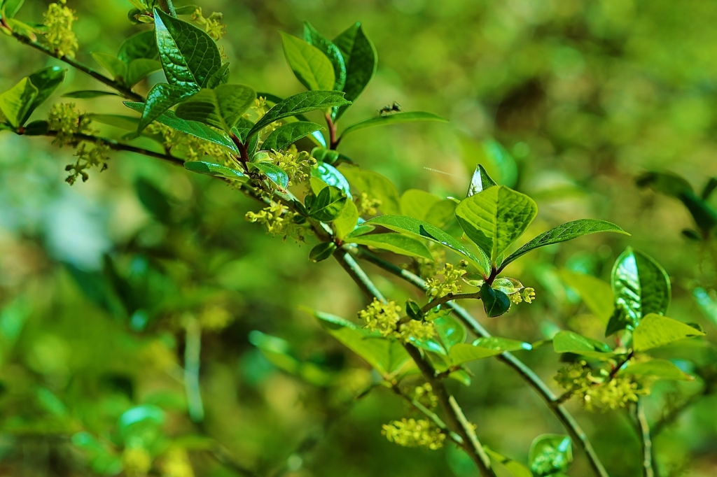 f:id:JKazy:20160420091349j:plain f:id:JKazy:20160420091349j:plain