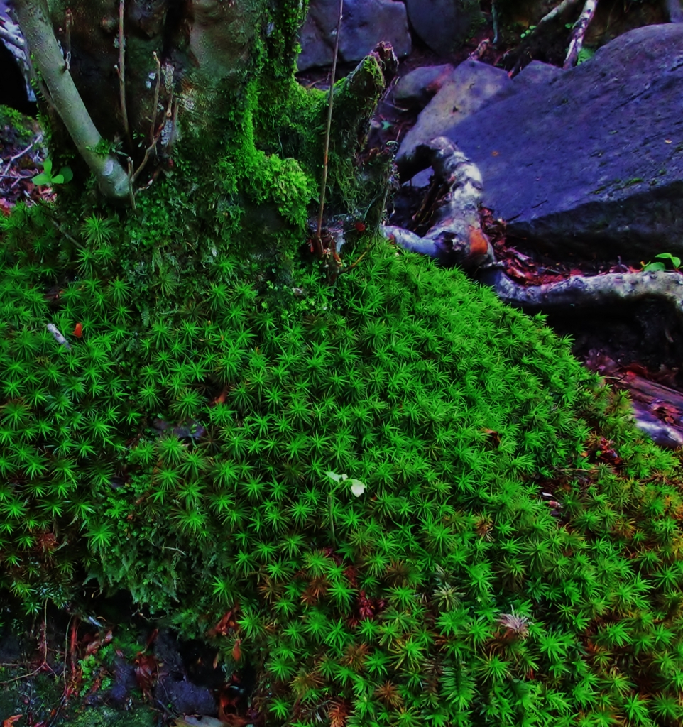 f:id:JKazy:20160625180951j:plain