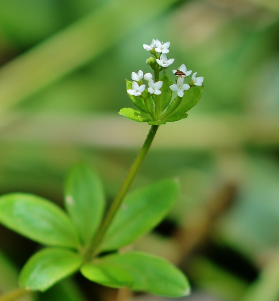 f:id:JKazy:20160630003121j:plain